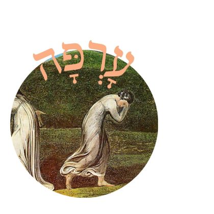 עָרְפָּה