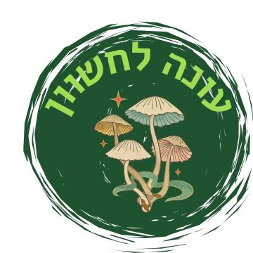 עונה לחשון