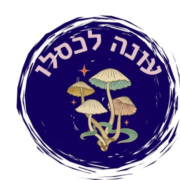 עונה לכסלו